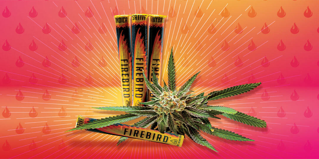 dive_into_infused_prerolls