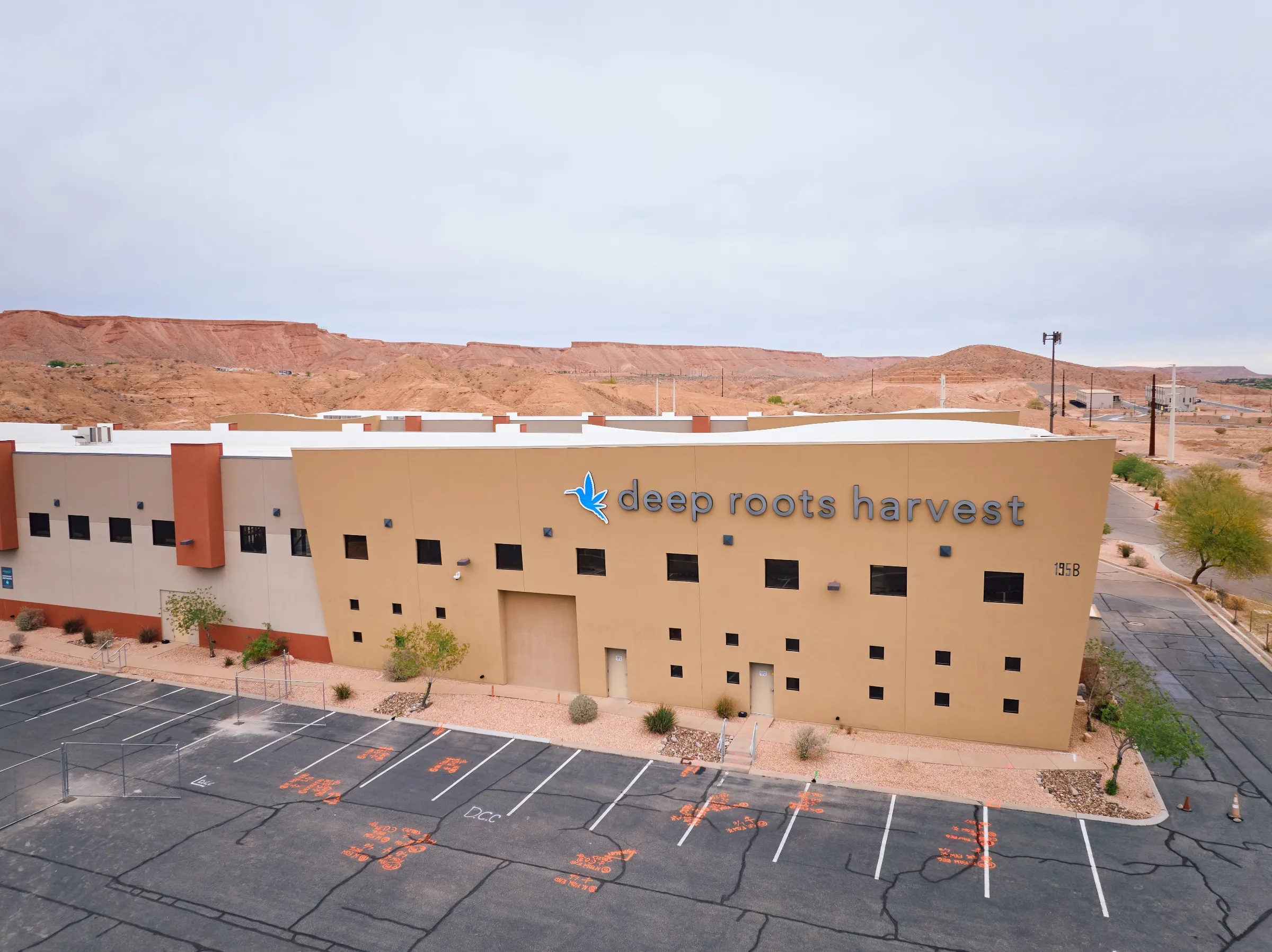 DRHMesquiteStorePhotos 213
